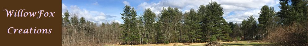 Logo with panorama of the woods